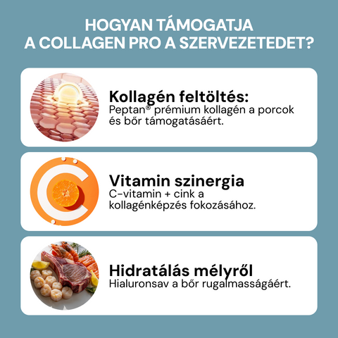 Anybody Collagen Pro 60x Kollagén Kúra