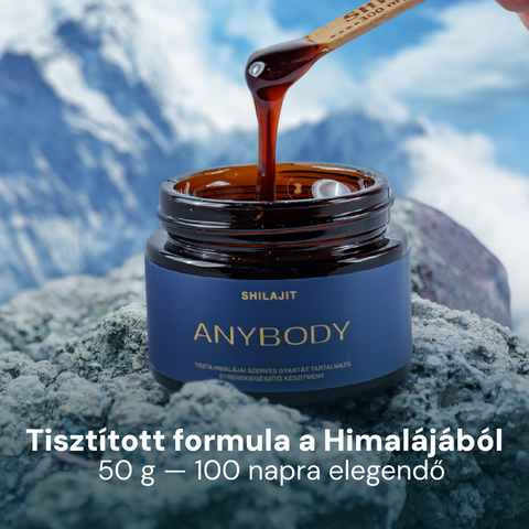 Anybody Shilajit Kúra